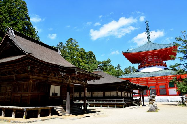 2014年ゴールデンウイーク、南河内（大阪府南東部）・紀北（和歌山県北部）周遊の旅。<br />旅の２日目は、弘法大師・空海が開いた山上の聖地・「高野山」へ☆<br /><br />「奥の院」への参拝を終えて、山内を走るバスに乗って高野山の総門にあたる「大門」まで移動し、ここから順に世界遺産にも指定されている堂塔群を廻ってゆきます。<br /><br />高野山の２大聖地の１つである「壇上伽藍」には、豪壮な伽藍は勿論のこと、今も往時の面影を色濃く残す味わいのある堂塔が建ち並び、また真言宗総本山の「金剛峯寺」には、国内での最大規模の石庭や華麗な襖絵で飾られた部屋が残っているなど、真言宗の総本山に相応しい歴史や文化の香りを感じることができました♪<br /><br />【旅の行程】<br />・奥の院前 ～ 大門 ～ 壇上伽藍 ～ 金剛峯寺 ～ 女人堂 <br /><br />【2014 GW 南河内・紀北歴史探訪記】<br />・その１～中世の宗教都市から近世の商業都市へ　富田林寺内町・重要伝統的建造物群保存地区を歩く～<br />　http://4travel.jp/travelogue/10889774<br />・その２～太平記の英雄・楠木正成公の夢の跡… 河内国・千早城登城記&amp;菜の花に彩られた下赤坂の棚田～<br />　http://4travel.jp/travelogue/10893076<br />・その３～弘法大師が開いた山上の聖地・高野山へ①　奥の院編～<br />　http://4travel.jp/travelogue/10895277<br />・その５～弘法大師が開いた山上の聖地・高野山へ③　国宝多宝塔＆宿坊、そして観光列車・天空号乗車編～<br />　http://4travel.jp/travelogue/10899791<br />・その６～高野山の玄関口に点在する、弘法大師ゆかりの寺社を訪う～<br />　http://4travel.jp/travelogue/10914073<br />・その７～紀州徳川家五十五万五千石の居城 紀伊国・和歌山城登城記（＆和歌山電鐵貴志川線♪）～<br />　http://4travel.jp/travelogue/10915892