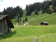 弾丸旅！　スイスへ行ってみよう　２０１４　①