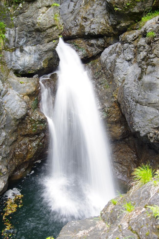 三重県の鈴鹿市の山中にある小岐須渓谷の鮎止の滝に行ってきました。<br /><br />走りやすい農道を過ぎ集落を抜けたら、車幅ギリギリの山道に入っちゃいました。<br /><br />ところどころで落石のあとなんでしょうか、道の真ん中に石が落ちてました。<br /><br />全く人気がなく、すれ違う車もなくて寂しい山道でした。<br /><br />鮎止の滝への入り口に、７，８台駐車できるスペースがあり、<br /><br />そこに車を止め徒歩で３分ほどの道のりで滝に到着です。<br /><br />しかし、その道はけもの道のような人一人が通れるくらいの細い道で、<br /><br />真横は崖で柵もありません。<br /><br />落ちたら大けがで済まないかもしれません。<br /><br />途中からは、ハイキングっぽい道に変わりますが、<br /><br />ゴツゴツした岩場は不安定で、撮影用の三脚を立てるにも一苦労でした。<br /><br />しかし、渓谷の中ゆえに静かで落ち着いた場所でした。<br /><br />肝心の鮎止の滝は、連日の雨の影響もあって水量が豊富で迫力がありました。<br /><br />名前の通り、龍は登れても鮎はこの滝を登れませんね！<br /><br />その後、もと来た道を戻り、車で１０分くらい走ったとこにある<br /><br />鈴鹿ほたるの里に行きました。<br /><br />残念ながら、風が強くおまけに満月に近い月でほたる鑑賞には<br /><br />不向きと地元の方が言ってました。<br /><br />確かにほたるの数は少なくて撮影できませんでしたが、<br /><br />都会では見れない自然のネオンを満喫しました。<br /><br /><br />