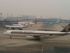 シンガポール航空 ビジネスクラス往復 バリ島