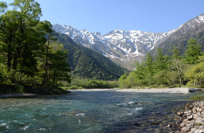 新緑と残雪を求めて、新穂高ロープウェイ＆上高地へ、<br />そして、ビーナスラインを走る２泊３日のドライブの旅。　<br />この旅行記は、上高地に宿泊して、タップリ、上高地を散策した旅行記です。<br /><br />新穂高ロープウェイを利用しての北アルプスの眺めを堪能した後、上高地を目指す。<br />上高地は「マイカー乗り入れ禁止」なので、「沢渡駐車場」に車を置いて、<br />シャトルバスにて、上高地入りする。<br />上高地バスターミナルに着いたのは、１５時半。<br />河童橋付近を散策して、今宵の宿「上高地温泉ホテル」に向かう。<br /><br />宿では、１９時３０分から、｢アルプスの仙境上高地｣のスライド上映会がある。<br />翌朝は、ホテル主催の早朝散歩（ウォーキング）に参加する。<br />ホテルスタッフの先導・案内で、遊歩道沿いに咲く花の名前や、<br />場所ごとの楽しい説明を聞きながら、ノンビリ、大正池までの往復です。　<br />散歩から帰ってからの朝食は、美味かった。<br /><br />宿を後にして、バスターミナルの手荷物預り所に、<br />大きな荷物を預けて、いざ、明神池へ。　<br />明神池までは、およそ、片道１時間のウォーキング。<br />（実際は、写真を撮りながら歩くので、もう少し、時間がかかる）<br />往きは、梓川右岸歩道を歩き、帰りは、左岸で戻る。<br />途中、ニホンザルの群れに遭遇！　<br />彼らも、まったく、人間を意識していない様子で、こちらの近くまで寄って来ます。　<br />２日目も、まずまずの天気で、上高地を満喫できました。<br /><br />・上高地<br />　中部山岳国立公園の代表的な景勝地、急峻な山の裾を流れる梓川に沿って開けた標高約千５百ｍの盆地状の広い谷です。独特の地形や多種多様な動植物など自然の各要素が絶妙のバランスをもってつくり上げた類まれな景観と環境を誇り、特別名勝・特別天然記念物にも指定されています。清冽な水の流れ、さわやかな新緑の河畔林、斜面を覆いつくす針葉樹林帯、そして堂々とそびえ立つ岩稜。豪壮と繊細さを併せ持ち一瞬たりとも同じ姿のない季節の表情は、四季を問わず大自然の感動を伝えてくれます【松本市公式観光情報のページより】<br /><br />・上高地公式ウェブサイト<br />　　　　http://www.kamikochi.or.jp/　