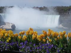 2014年トロント旅行　ナイアガラ日帰り旅編