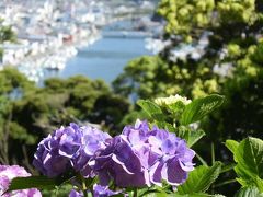 伊豆へ… 2014.06.13 =1.下田公園の紫陽花を見て来ました=