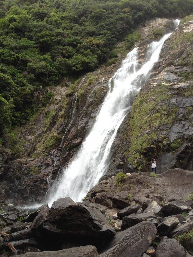 さて屋久島も最終日３日目になりました。<br /><br />雨の屋久島を体験できた１日目、<br />2014 Road to Yakushima 最終章① / 旅の概要＆白谷雲水峡１日目<br />http://4travel.jp/travelogue/10894922<br /><br />３日間の滞在中、唯一の晴れが10時間の縄文杉トレッキングという神様からのプレゼントの２日目、<br />2014 Road to Yakushima 最終章② / 待たせたな！縄文杉～２日目<br />http://4travel.jp/travelogue/10896091<br /><br />まさかチケットを予約した時点で、縄文杉トレッキングの翌日に筋肉痛もなしに元気でいられるとはこれっぽっちも思わなかったので、屋久島出発は最終便ではなく１４時です。<br /><br />最終日は限られた時間の中で、出来る限りの屋久島の滝を楽しみましょう～