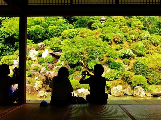 初夏の訪れを感じようと、京都のいくつかの庭園を訪れてきました。<br />行程は「三十三間堂」⇒「東福寺」⇒「八相の庭」⇒「智積院」という行程でした。<br />『三十三間堂』…http://sanjusangendo.jp/<br />『東福寺』…http://www.tofukuji.jp/<br />『智積院』…http://www.chisan.or.jp/