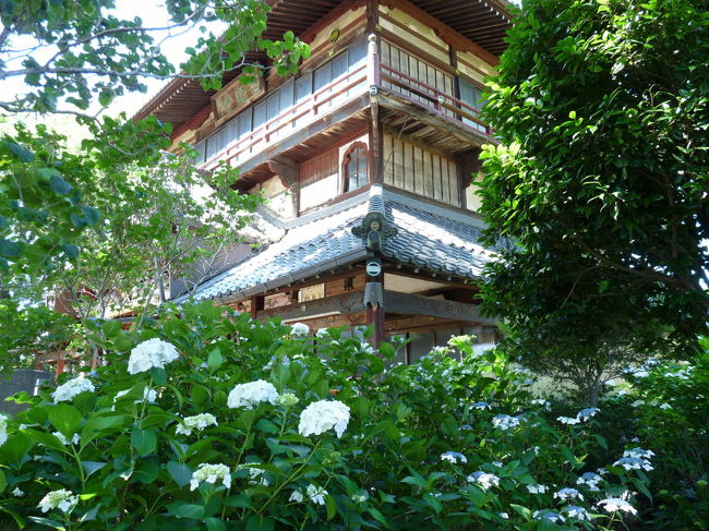 群馬県太田市の曹源寺は、さざえ堂と呼ばれています。<br />本堂（観音堂）の回廊が二重螺旋構造になっていて、回廊を巡りながら三層の最上階へ、そのまま一方通行で別の螺旋回廊を下まで降りて来られます。<br />回廊の壁面には、秩父、坂東、西国の観音札所計百ヵ寺の観音像が安置されています。<br /><br />曹洞宗・祥寿山曹源寺、ご本尊は阿弥陀如来、創建は１１８７年だそうですから８００年以上の歴史があります。ただし、このさざえ堂(観音堂）が建てられたのは１７９３年、築２２１年だそうです。<br /><br />ここは太田市七福神の一寺（布袋尊）で、秋の七草「おみなえしの寺」です。そして、初夏にはアジサイが咲く寺として知られています。<br /><br />アジサイが見頃になったとのネット情報を見て、太田市のさざえ堂に行ってみました。