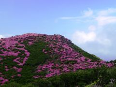 2014登山シーズン開始記念三部作（第3部　ミヤマキリシマ満開の平治岳）