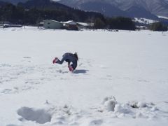 みーたん名残り雪を求めて蒜山高原へ行く！  の巻き