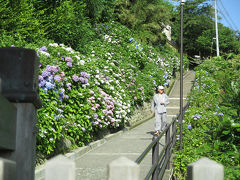 成就院　長谷寺　光則寺　鶴岡八幡宮［2014/06/15（日）］