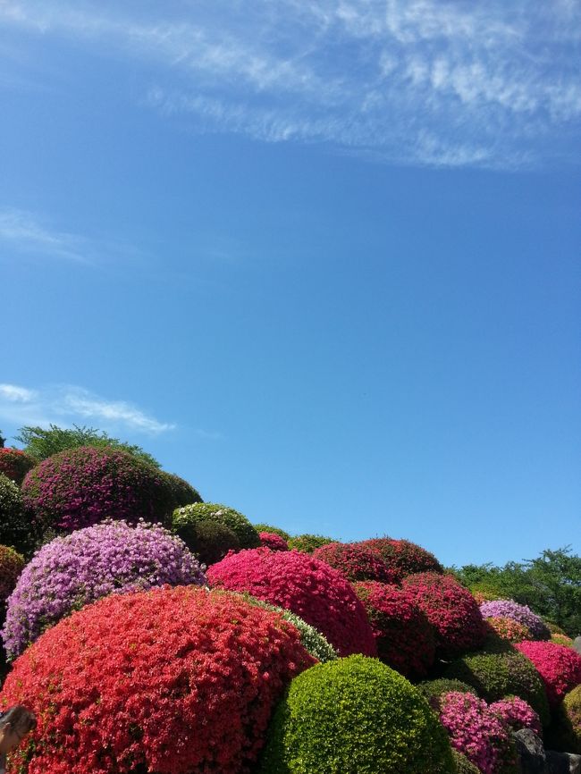 今回の１泊２日旅行は最高のお天気に恵まれ忘れられない旅となりました。<br /><br />１日目　鶴峰公園<br />白馬みずばしょう温泉ほてるシェラリゾート白馬（泊）<br />２日目　立山黒部アルペンルート第２１回雪のウォーク