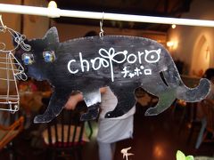 うるわしの奈良へ。（２日目）　～午後は奈良町でまさかの食い倒れ～