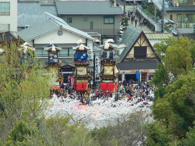 桜が満開の時期お誘いがあり、ここ２〜３年名古屋を訪れています。今年は快晴の一日で、以前から行きたいと思っていた犬山城にいくことにしました。<br />現在、国宝の天守閣は四城。（姫路城、彦根城、松本城、犬山城）訪れていない唯一のお城がここ犬山城でしたので、楽しみにしておりました。ちょうど犬山祭で、ちょっぴり得した気分にさせてもらった一日でした。