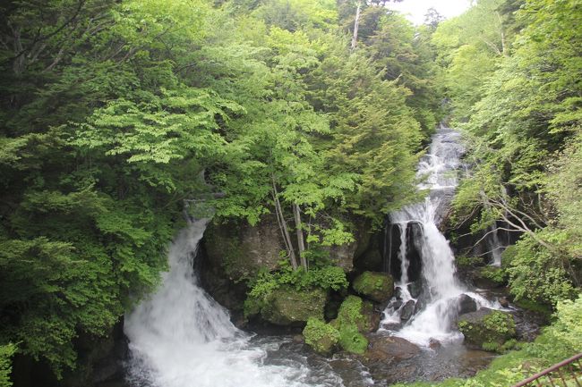 久しぶりの晴れの週末、日光にトレッキングに行ってきました。<br /><br />朝早く起きて戦場ヶ原の赤沼駐車場には9：30に到着しましたが、すでに満車。<br />隣の三本松駐車場に車を止めて、赤沼まで歩いて、低公害バスに乗車。<br />なんとか10：10のバスに滑り込みで乗ることができましたが、立ち乗りで運転手さんが「もう一歩後ろに…」とお願いして乗れた…というくらい混んでいました。私の後の方々は30分後のバスまで待たなければならないほど。。。<br /><br />西の湖入口バス停で下車して、トレッキングを開始しました。<br />バス停から西の湖へ向かう途中に雨が降り始めました（涙）。<br />かなりのどしゃ降りになりましたが、西の湖に到着して10分ほどしたら一気に晴れてきました。<br />西の湖～千手ヶ浜まではまるで古代の森のように手を付けられていない自然林があります。<br />千手ヶ浜でランチ（注：お店はないので、持参してください）の後、竜頭の滝まで歩きました。<br /><br />竜頭の滝を見た後、ちょっと疲れていたのでバスで三本松まで行き、帰宅しました。<br />ずっと雨が降らなくてよかったです。<br />低公害バスで行く西の湖、おすすめです！<br /><br /><br />トレッキングコースの詳細は竜頭之茶屋サイトにあります。<br />http://www.nikko-ryuzu.jp/doc/sainoko_map.pdf<br /><br />西の湖～千手ヶ浜までは日光旅ナビサイトのトレッキングマップにもあります。<br />http://www.nikko-kankou.org/model/hiking/pdf/course1.pdf<br /><br />赤沼～千手ヶ浜間のバス詳細<br />https://www.nikko-nsm.co.jp/bus.html<br />