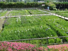 柳生の里花しょうぶ園・円成寺2014