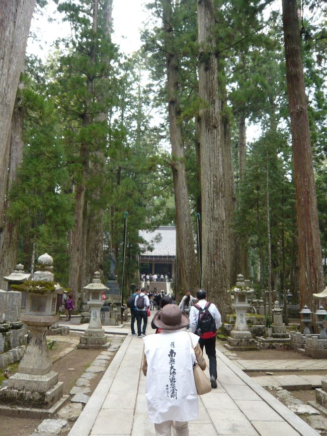 四国八十八カ所のお礼参りに高野山へ行ってきました。<br /><br />高野山までかなり時間がかかるので、関空前泊にしましたが、千歳空港に向かうＪＲが事故で立ち往生→1時間待たされ→あきらめてタクシーで何とか最終便に間に合うも、とんだ散財になりＬＣＣを使った意味が無くなるという波乱の旅の始まりになってしまいました。<br /><br />翌朝9時前にホテルを出発。電車3回乗り換え→ケーブルカー→バスで宿に着いたのは何と午後3時過ぎ。高野山が近くなるにつれ車窓は杉の木がうっそうとした険しい山々で、1200年前にどうやってこんな場所にお寺を建てたのだろう？とかなりの驚きでした。<br /><br />連休の為かケーブルカーもバスも満員で、近くにいた高野山常連さんらしき紳士によると｢世界遺産になってから国内外問わず旅行者が増え、昔の落ち着いた風情がなくなっている｣との事。<br /><br />う〜ん、アンビバレントな問題。<br /><br />でも自然にとけ込む奥の院は素晴らしかった。<br />是非、世界中の人々に訪れて貰い、日本の心を感じて欲しい土地でした。<br /><br />