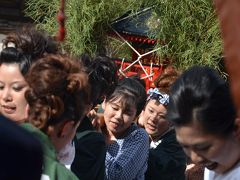 吉原祇園祭 2014.06.14-15 =2.女神輿=