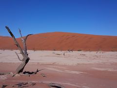 ナミビアのナミブ砂漠♪