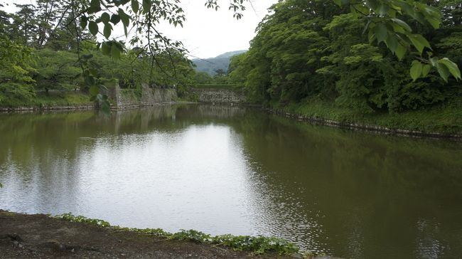 会津若松は「会津藩の居城鶴ヶ城」がある町です。近年の「八重の桜」で有名になった、新島襄の妻八重と兄山本覚馬が幕末に生まれた場所。そして、逆賊となった会津藩全滅の舞台でもあります。これらのドラマの伏線にあるのは、会津藩と徳川家の関係に注目する必要があります。その子細は 会津藩松平家の誕生や、二代将軍にまで遡ります。二代将軍秀忠が正室に隠れて側室に生ませた子(幸松)を信州高遠の小大名保科家へ養子にやり保科正之と名乗ります。秀忠に続く家光も腹違いの弟がいることを知らなかったが、いずれ知るところとなり、小大名にはしておけないと先ず出羽山形へ移封、更に会津へ転封。表向きの石高は二十三万石でしたが隠し高五万石と合わせると二十八万石、これは徳川御三家と比べても遜色なく、水戸藩をもしのぐ大藩となっていました。<br /><br /> 他藩に比べて非常に徳川への忠誠が強かったと云うことが、鶴ヶ城の悲劇となったようです。また、実戦経験の少ない国元の会津藩士は、白虎隊にしても鶴ヶ城に火の手が上がったことで、落城と勘違いして自刃しているという。また、籠城戦という選択肢を見誤った結果、家人などを城内へ入れることを怠ったため、家老西郷頼母一家の自害もあったという。(伊東潤著「城を攻める 城を守る」より)<br /> 歴史を後の検証から見ると、何故と云うことが多くあろうが、時の人は精一杯生きた証でもあり、簡単に責めることはできない。そんな思いを巡らしながら、城内や城下を散策していました。<br /><br /> 冒頭の八重の桜で有名になった山本覚馬の住んでいたという一角にも出会わした。今は民家が建ち並び、観光客への配慮を求める看板だけがその資料というのも皮肉なものであります。また、山鹿流武術の創始者山鹿素行誕生の地にも。赤穂浪士の討ち入り太鼓「一打ち参流れ」のあれです。<br /> <br /> 宿は東山温泉「新滝」という高級旅館(私としては)で、松平の殿様が入浴なさった岩風呂にも入れていただいた。与謝野晶子が遊んだという老舗旅館は、旅の中安めとしては最高だった。花泉という地酒と共に深い眠りとなった会津であります。