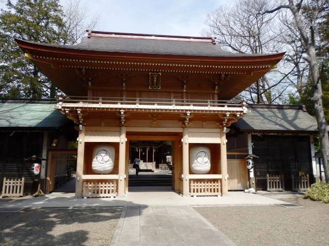 八幡大神社(はちまんだいじんじゃ)は東京都三鷹市にある神社で三鷹八幡大神社とも言われ三鷹通りと連雀通りの交差点に面している。１６５７年の 明暦の大火の後神田連雀町の一部の住民が替え地として三鷹の地を与えられ連雀新田と名付け新田を開発したが１６６４年に神社と寺の創建を幕府に誓願し老中松平伊豆守と寺社奉行が検地を命じ建立を許可。築地本願寺より松之坊を迎えたが後に松之坊は退転し黄檗宗禅林寺が開かれたとのこと。 例祭に渡御する２基の神輿のうち二之宮神輿の屋根の鳳凰の目が１９９４年版のギネスブックに日本一のダイヤモンドとして掲載されたそうだ。<br />三鷹市の新川（しんかわ）は東京都三鷹市にあり丸池公園、丸池の里、勝淵神社、仙川公園などがあり野川村と上仙川村が合併した際の村名「新川村」による地名とのこと。丸池の里がある一帯は勝渕神社や湧水池である丸池などがあり遊水地は昭和40年代に埋め立てられたが地域の多くの市民から丸池の復活を望む声が上がった結果湧水のある以前の姿に復活し自然保護の象徴として丸池の周辺は緑地化が進められている。新川宿ふれあい通りは以前吉祥寺通りと呼ばれていたが現在は新川宿ふれあい通りと名称を変え地域の活性化と地域住民の交流を目的に「新川宿ふれあい通り朝市」を開催し模擬店の出店、朝採り野菜や鉢花の販売、子ども向け催し物などを行ない三鷹の町興しをおこなっている。<br />（写真は八幡大神社）<br />