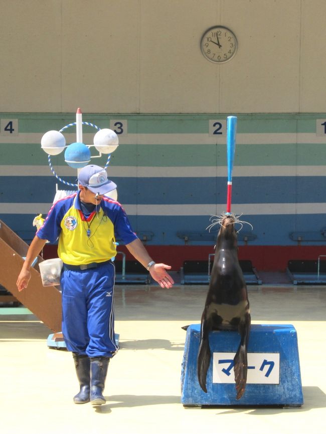 仕事では三重県全域を車で走っていたが、退職後に初めて観光で訪れた。<br /><br />ノ～ンビリ観光し、美味いもの食って、飲んで、癒されて、旅を楽しんだ　～♪(^o^) -☆<br /><br /><br /><br /><br />画像 ： イルカ島のアシカショー「マーク」君