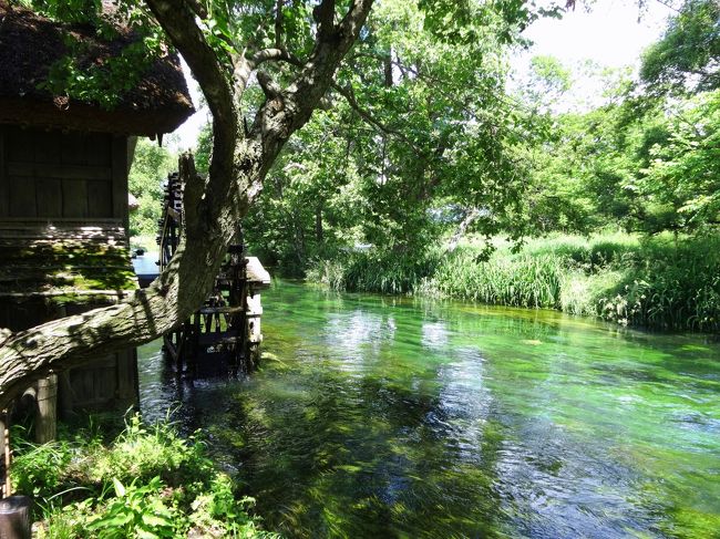 早めの夏休み６日め。この日はお天気もよさそうなので安曇野へ。<br />レンタサイクルを借りて丸一日走り回りました。景色が素晴らしく、とても楽しかったです！安曇野さいこー、自転車さいこー！！<br />