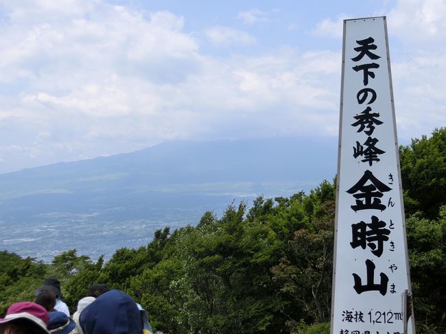 金時山は箱根山の外輪山の最高峰（標高1212m）で40万年前の大噴火によって誕生した山です。<br />山頂からの富士山を見たくて、鈍った体に鞭打って行って来ました。