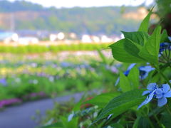 2014・06　初夏の福井県へ