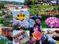 千葉県 あじさい屋敷といすみ鉄道～あじさい散策～