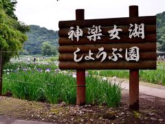 神楽女湖のハナショウブ