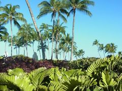 2014 GW母娘旅・ハワイ島編