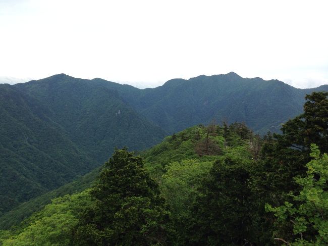 ご覧頂きありがとうございます。母公堂→稲村ヶ岳、大日山→蓮華辻→大峯大橋→母公堂ルートを歩いて参りました。