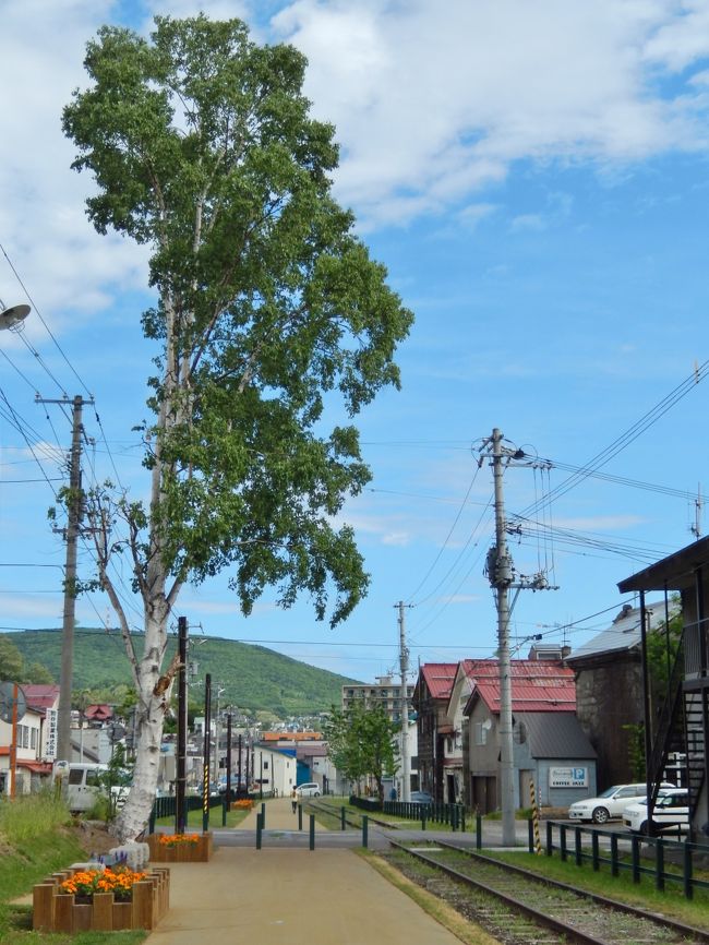 1985年に廃線になった旧手宮線の線路跡。<br /><br />小樽市街中心部、寿司屋通りから中央通りまで、線路跡が遊歩道として整備されていて、観光客の方も良く目にする場所だと思います。<br /><br /><br />ですが、北側の手宮地区では未だ廃線のままの姿を残していました。<br />はい、私が訪れた昨年の夏までは。。。<br /><br />そして、今年訪れて驚きました<br /><br />今まで立ち入り禁止区域だった北側が・・・<br />手つかずの状態で線路跡も草むらに埋まっていたのが・・・<br /><br />すっかり綺麗に整備されて通ることが出来るようになっていました。<br /><br /><br /><br /><br />