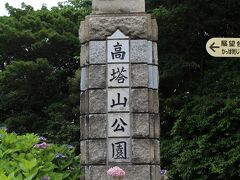 北九州　若松　高塔山公園の紫陽花です。