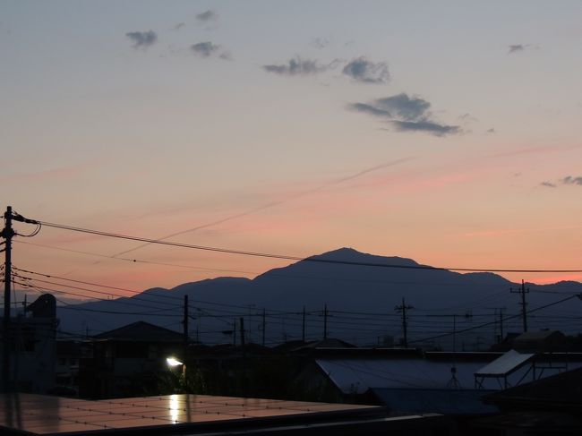 どうも～。ご覧頂きありがとうございます。<br /><br />雨の多いこの季節、子供の頃は嫌いでした。<br />でも大人になると、少しずつ梅雨の良さもわかるようになりました。<br /><br />ホタルが見られるのもこの時期だそうです。<br />特に、梅雨の合間の暑くて風の穏やかな夜が狙い目だそうですよ。<br /><br />そんなドンピシャな日曜日。<br />私の地元、厚木でホタルが見られるとのこと。<br />ボランティアの方たちが、ホタルが生息できる環境を整備し、見られるようになったそうです。<br /><br />子供に見せたい以上に自分も見たくて、厚木へ出かけてみました。