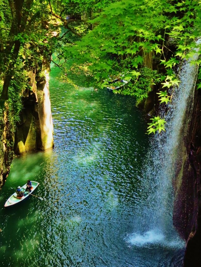 真名井の滝（まないのたき）は、高千穂峡の川幅が狭まった部分に流れ落ちる滝である。日本の滝百選の一つ。<br />峡谷の崖上は自然公園となっており、その中にある「おのころ池」より流れ落ちる水が真名井の滝となっている。<br />神話によれば天村雲命（あめのむらくものみこと）という神が天孫降臨の際に、この地に水がなかったので水種を移した。これが天真名井として湧水し、滝となって流れ落ちているといわれている。<br />（フリー百科事典『ウィキペディア（Wikipedia）』より引用）<br /><br />高千穂峡（たかちほきょう）は、宮崎県西臼杵郡高千穂町三田井にある五ヶ瀬川にかかる峡谷である。国の名勝、天然記念物に指定されている（五箇瀬川峡谷（高千穂峡谷））。<br />（フリー百科事典『ウィキペディア（Wikipedia）』より引用）<br /><br />高千穂峡については・・<br />http://takachiho-kanko.info/sightseeing/takachihokyou.php<br /><br />花々愛でる九州　ゆったり旅３日間<br />　５月２２日（木）〜５月２４日（土） ２泊３日　　75,000円<br />2 阿蘇米塚温泉-【約20分約60分】-高千穂峡(60)【真名井の滝へ】-【約90分】-瀬の本高原(60)【阿蘇五岳を一望のレストランで昼食】-【約10分】-くじゅう花公園(60)-【約50分】-長者原温泉郷(泊)　 宿泊 ： 九重西鉄ホテル 花山酔 <br /><br />