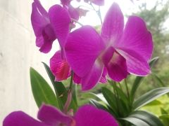 子連れチャレンジ☆沖縄旅行  ３日目