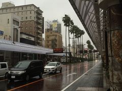 宮崎グルメと霧島温泉巡りの旅