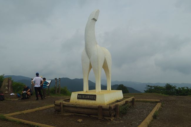 いよいよ富士山登頂も20日後に迫ってきました。<br />富士山、2日目は山小屋から頂上を目指し5合目まで降りなければいけません。長時間の歩行に慣れようと思って、このルートに挑戦しました。<br />しかし、覚悟はしていたけれど、こんなに長い時間歩くことになるなんて!<br />陣馬高原下のバス停を7:30に出発して、高尾山のケーブルカー駅に到着したのは16:30。<br />9時間もかかりました。<br />さすがに疲れたけれど、筋肉痛にはなりませんでした。<br /><br />・・翌日は舞浜ユーラシア で岩盤浴と天然温泉でゆっくり疲れた体をほぐしました。<br /><br />表紙は、やっぱりこれしかないでしょう。<br />陣馬山山頂の白馬!