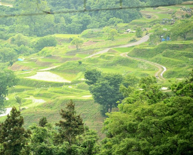 仙仁温泉 を12時にチェックアウト<br />さてと、<br />自宅まで270km直帰で4時間・・・何処か寄りますか？<br />・・・・・<br />帰り道<br />・・・・・<br />姨捨<br />・・・・・<br />棚田<br />佐伯泰英の吉原裏同心の六「遣手」の中にこんな俳句が有りました。<br />「蛙鳴く 田毎の月に 半夏生」<br />残念ながらお月様は見れませんでしたが<br />「ゲコゲコと 蛙鳴く声 緑香る風」<br />おそまつ！載せるな！書くな！<br />o(*^▽^*)oｴﾍﾍ!<br />すみません！