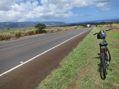 2014.05 HAWAII②