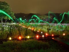 ６月の野の花自然園、花之江の郷　～花菖蒲の昼と夜～