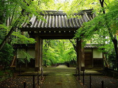 京都・西山三山を巡りました。紫陽花・青紅葉・竹林　前編