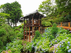 京都・西山三山を巡りました。紫陽花・青紅葉・竹林　後編