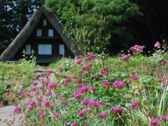 合掌造りが美しい相倉集落を訪ねて（富山県五箇山）