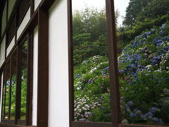 雨の京都へ紫陽花を見に行こう