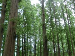 水元公園を歩く