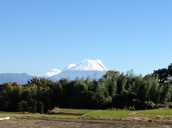 神奈川から山梨に移住した１年半を振り返ってみました。<br />山梨に暮らしている頃は旅行記ではないからと制作をためらっていたのですが<br />山梨からさらに違う土地に引っ越してしまうと、山梨に居た頃は毎日が旅行のようだったと振り返るようになりました。<br />このような旅行記は賛否両論あるとおもいますが、<br />長い目で見て旅行であったと許しておくんなましです。<br />本編は秋編です。<br />気が向けば冬〜春〜夏と続くであろう。と思う.....