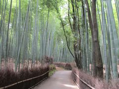 初秋の京都・滋賀の旅　１日目＆２日目