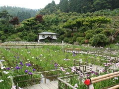 ６月の福井を楽しむ　庭園・花菖蒲・紫陽花・百合・歴史　2　大安禅寺とゆりの里公園