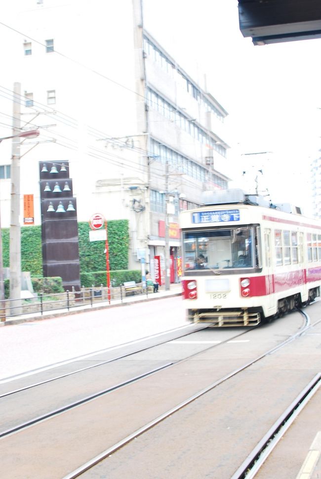 長崎に行くのは、修学旅行以来です・・・・（○○年ぶり・・・）。<br />長崎市に住む友人とともに、市内を歩きました